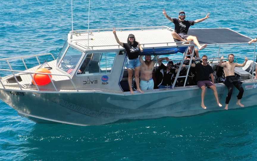 Gold Coast Dive Adventures, Hollywell, QLD