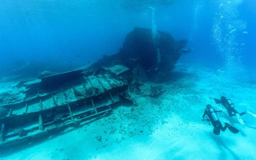 Gold Coast Dive Adventures, Hollywell, QLD