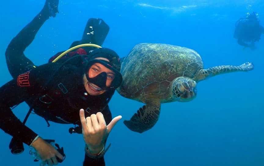 Gold Coast Dive Adventures, Hollywell, QLD