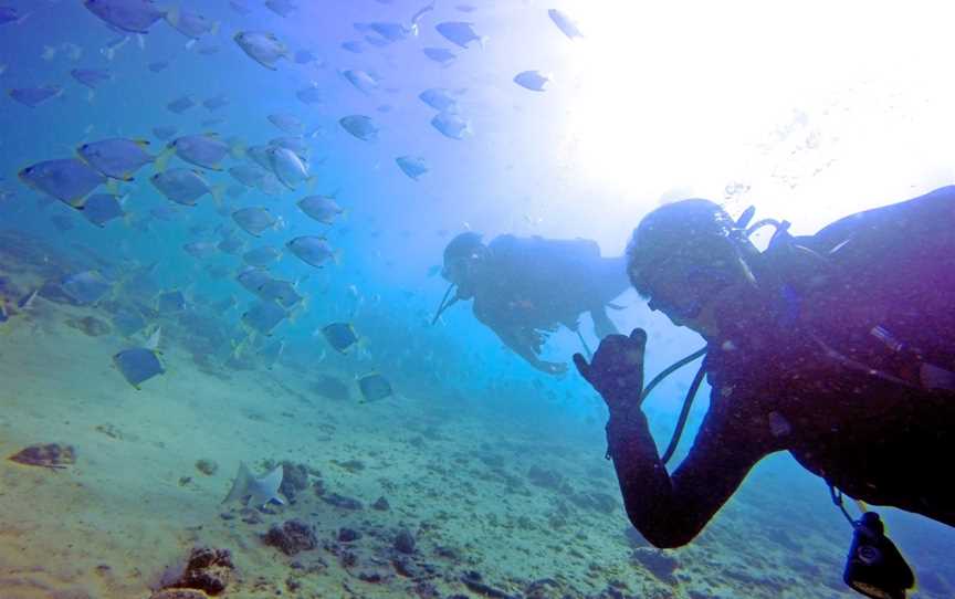 Queensland Scuba Diving Company, Main Beach, QLD