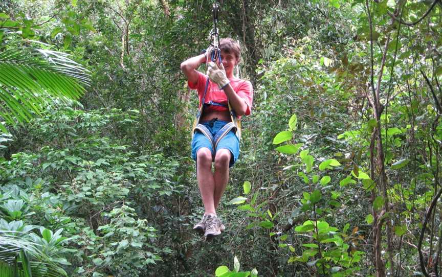 Forest Flying, Finch Hatton, QLD