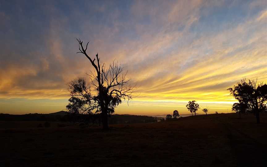 Hot Air Ballooning Scenic Rim, Beaudesert, QLD