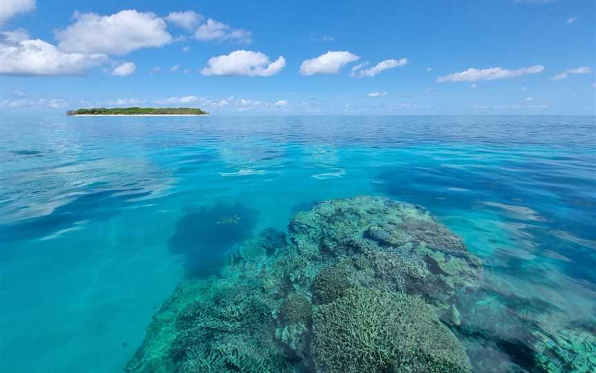 1770 Reef Great Barrier Reef Eco Tours, Seventeen Seventy, QLD