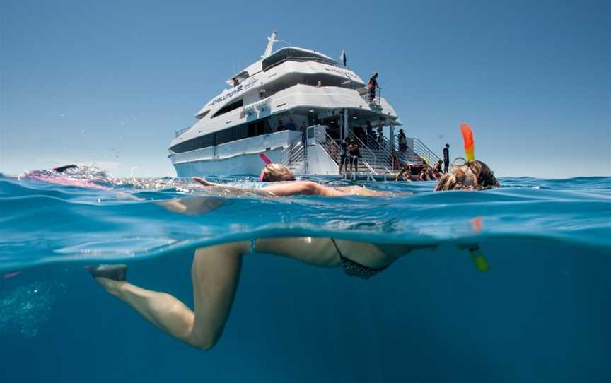 Down Under Cruise and Dive, Cairns City, QLD