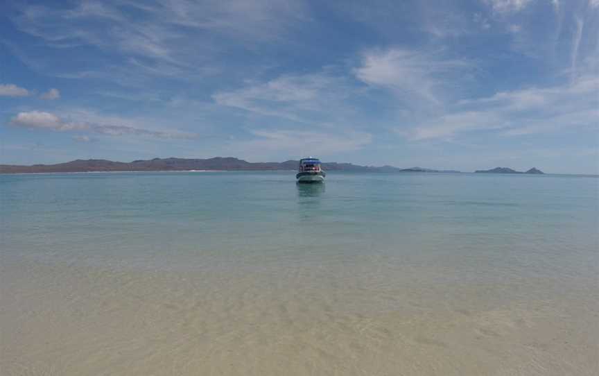 Whitsunday Islands Tours, Jubilee Pocket, QLD