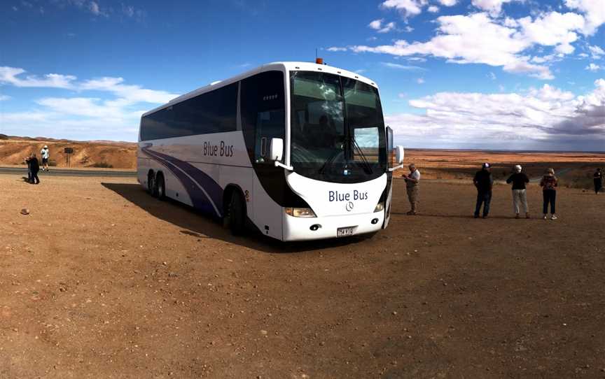 Blue Bus Tours, Redland Bay, QLD