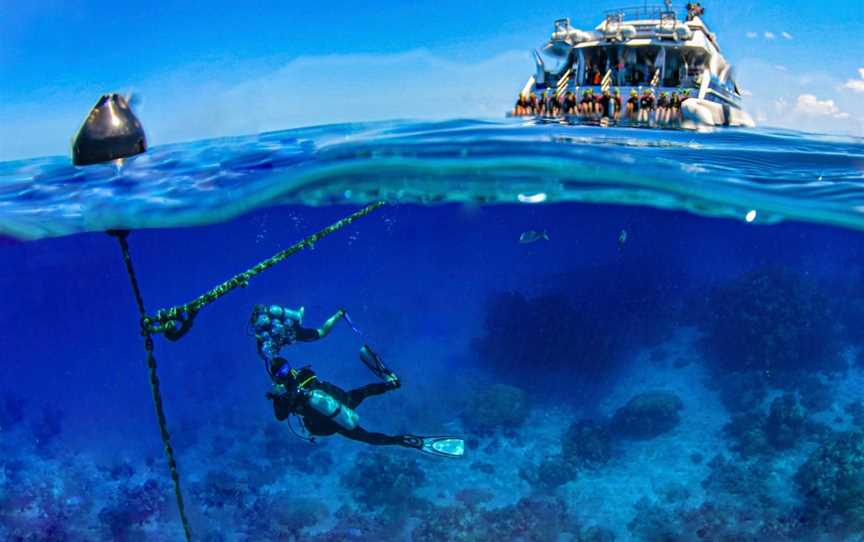 Divers Den, Parramatta Park, QLD