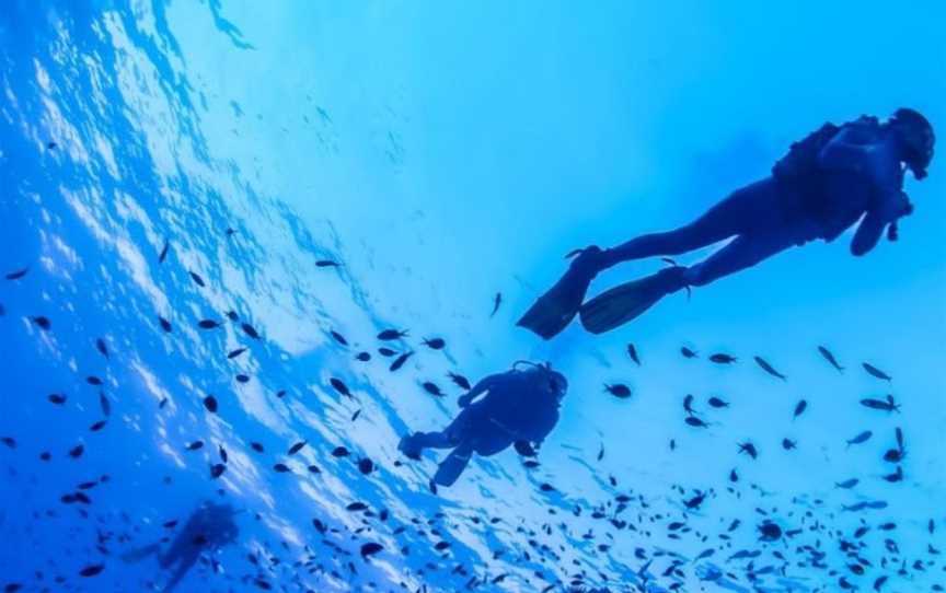 Liveaboard Diving, Tours in Cairns City