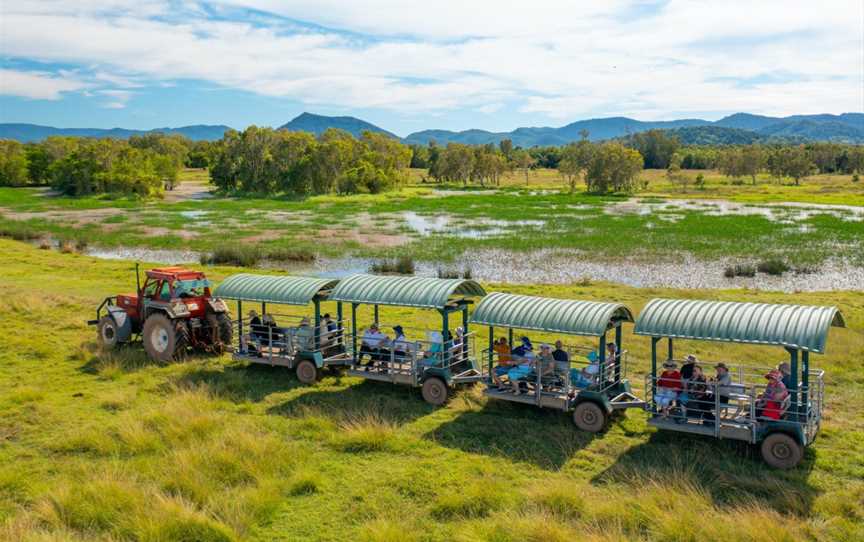 Whitsunday Crocodile Safari, Tours in Glen Isla