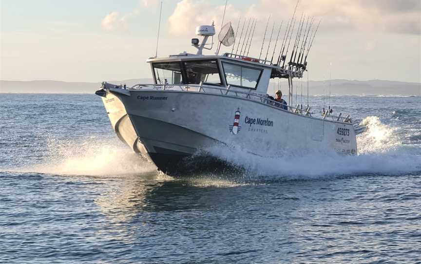 Cape Moreton Charters, Manly, QLD