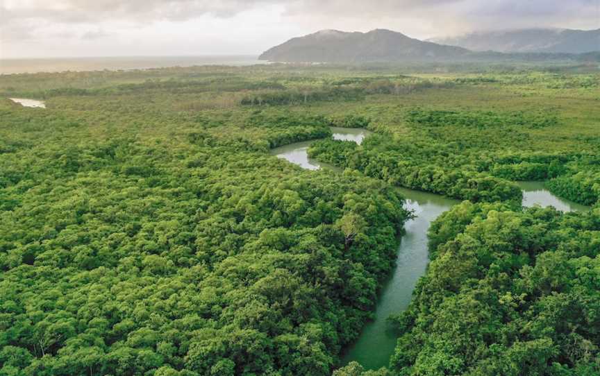 Daintree Experience, Forest Creek, QLD