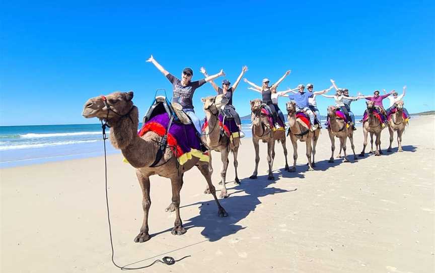 Noosa Camel Rides, Noosa North Shore, QLD