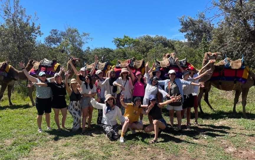 Noosa Camel Rides, Noosa North Shore, QLD