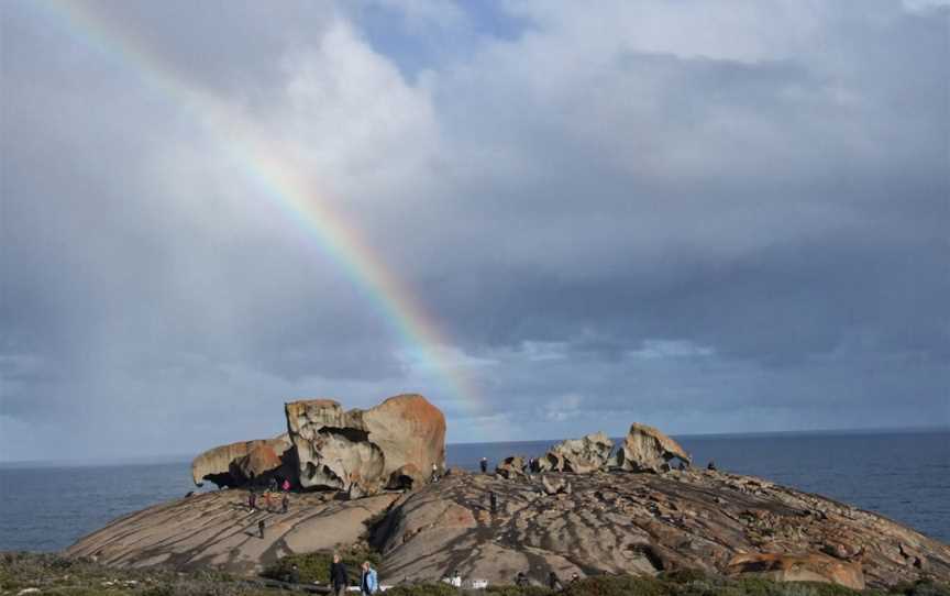 Kangaroo Island Tours & Nocturnal Tours, Kingscote, SA