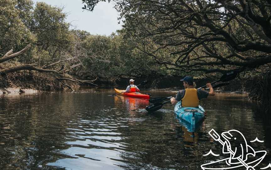 Dolphin Sanctuary Kayak Tours, Port Adelaide, SA