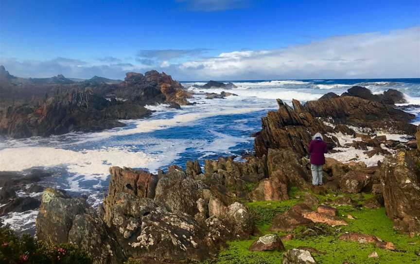 Tarkine Wilderness Walk, Corinna, TAS