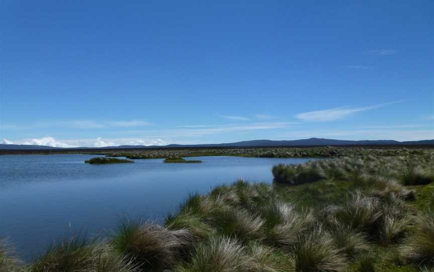 The Highland Fly, Miena, TAS