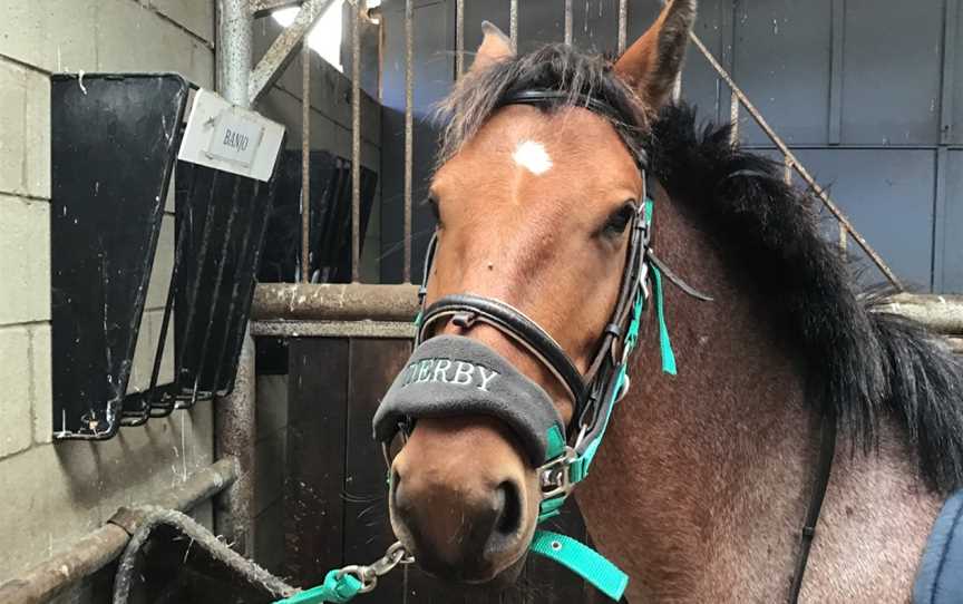 Wallington Park Equestrian Centre, Wallington, VIC