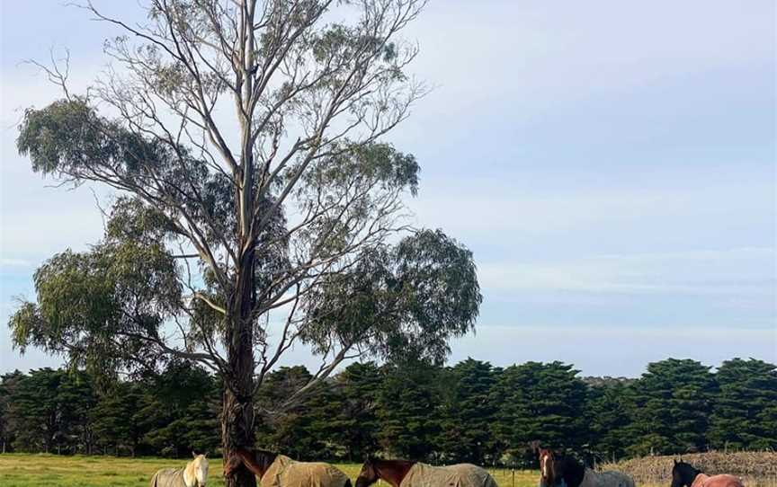 Woodlands Lodge, Oaklands Junction, VIC