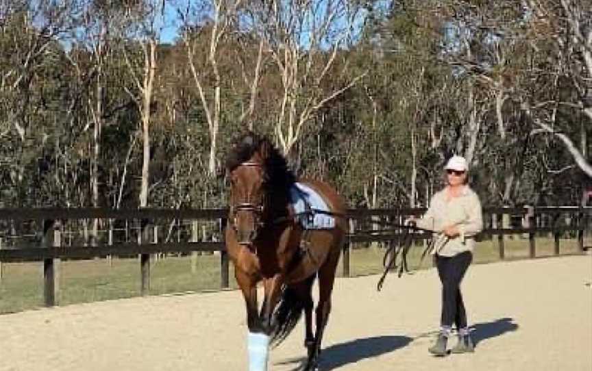 Ellamber Park Equestrian, Broadford, VIC