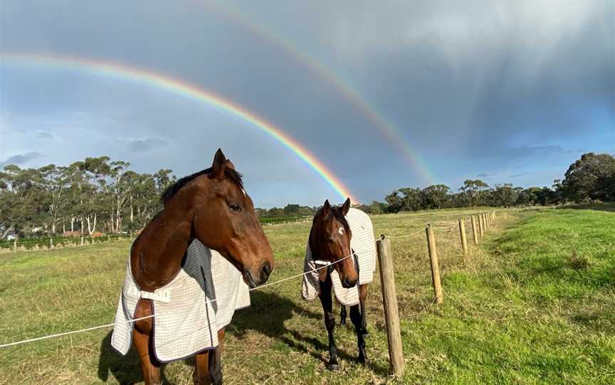 EVE Vaulting, Moorooduc, VIC