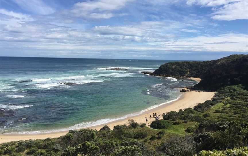 Great Ocean Walk Tours, Ivanhoe, VIC