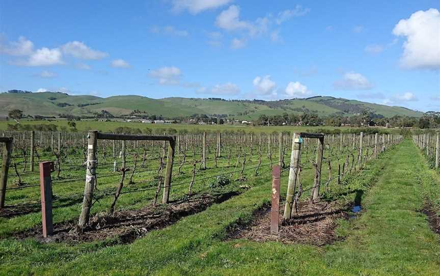 Phillip Island Wine Tours, Newhaven, VIC