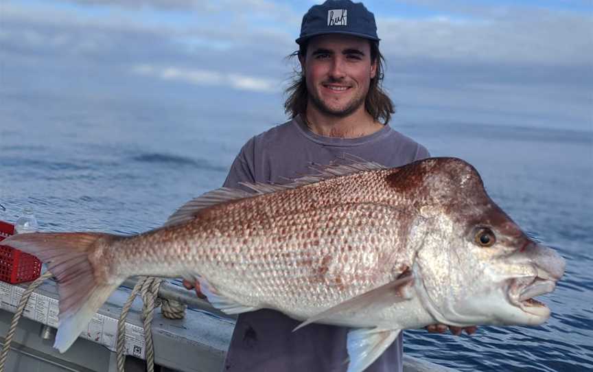 Platinum Plus Charters - Fishing Charters - Rock Lobster Tours, Jurien Bay, WA