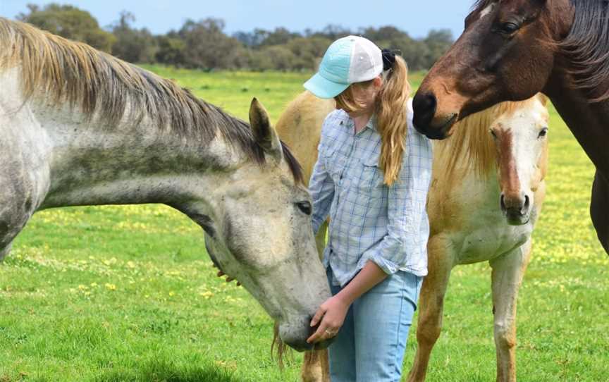 Horse Sense, Tutunup, WA