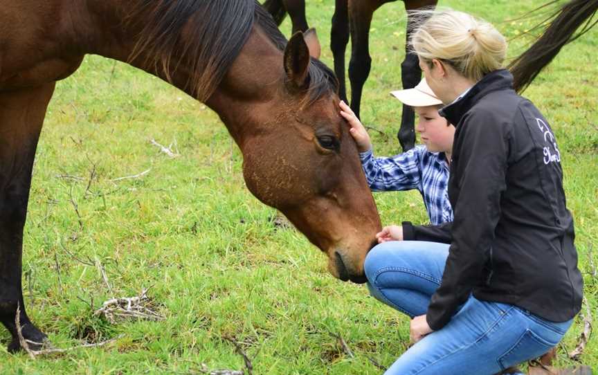 Horse Sense, Tutunup, WA