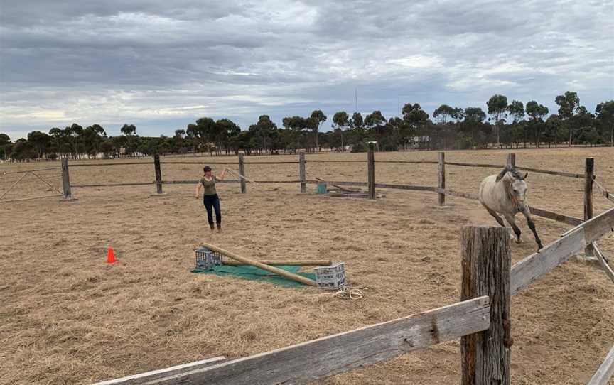 Dobbins Paddock, Broomehill, WA