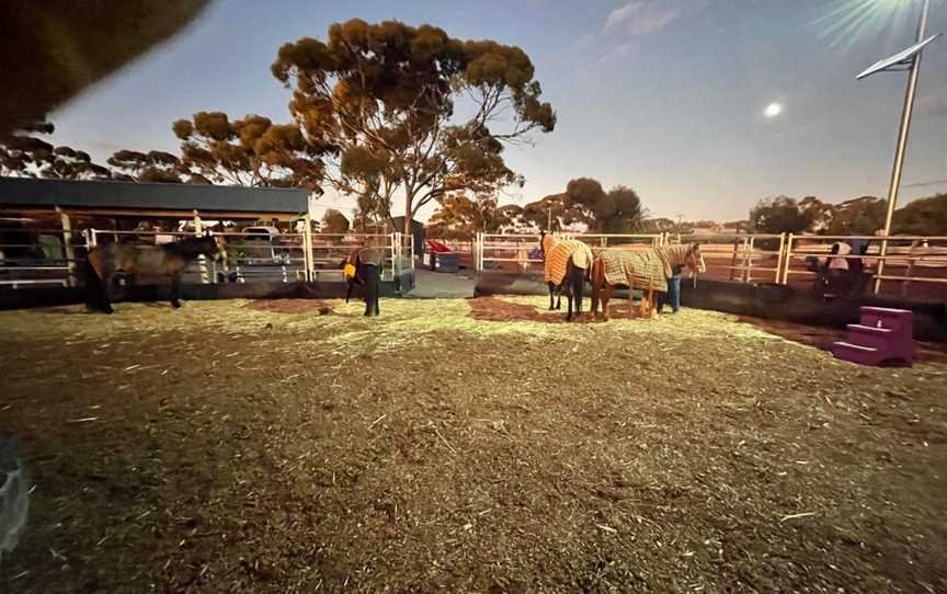 Horse Hub Kalgoorlie, Somerville, WA