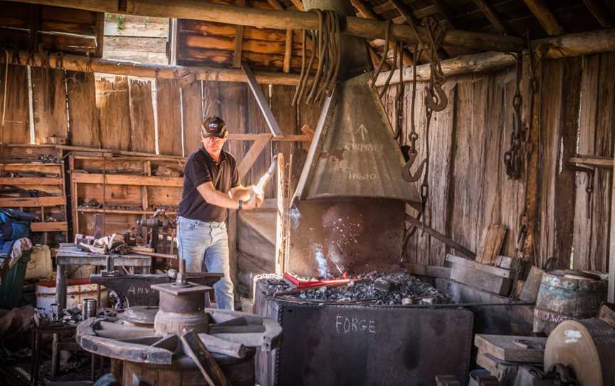 Tocal Homestead Tours, Tocal, NSW