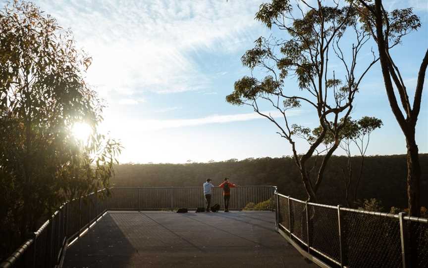 Guided Indigenous Walks in Dharawal National Park, Wedderburn, NSW