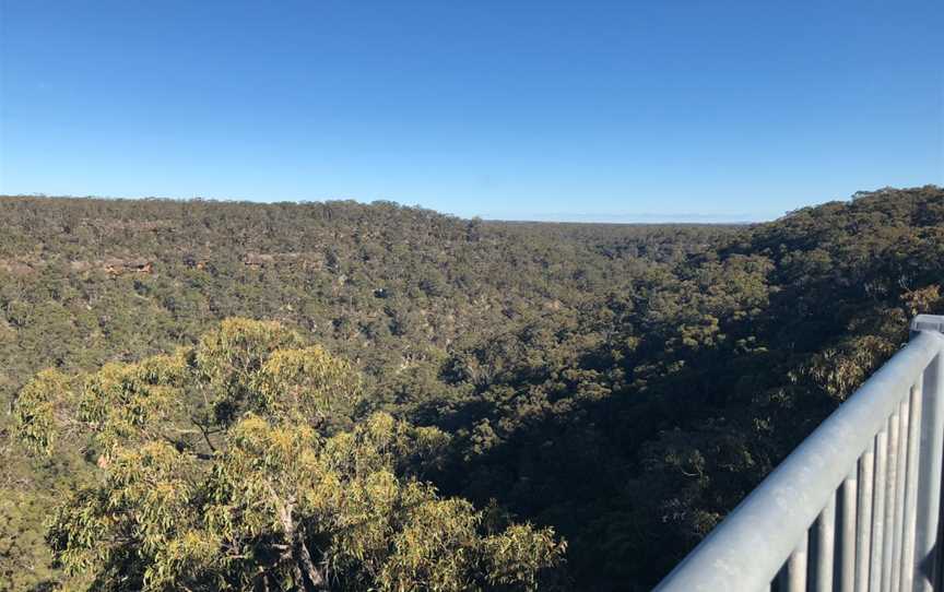 Guided Indigenous Walks in Dharawal National Park, Wedderburn, NSW