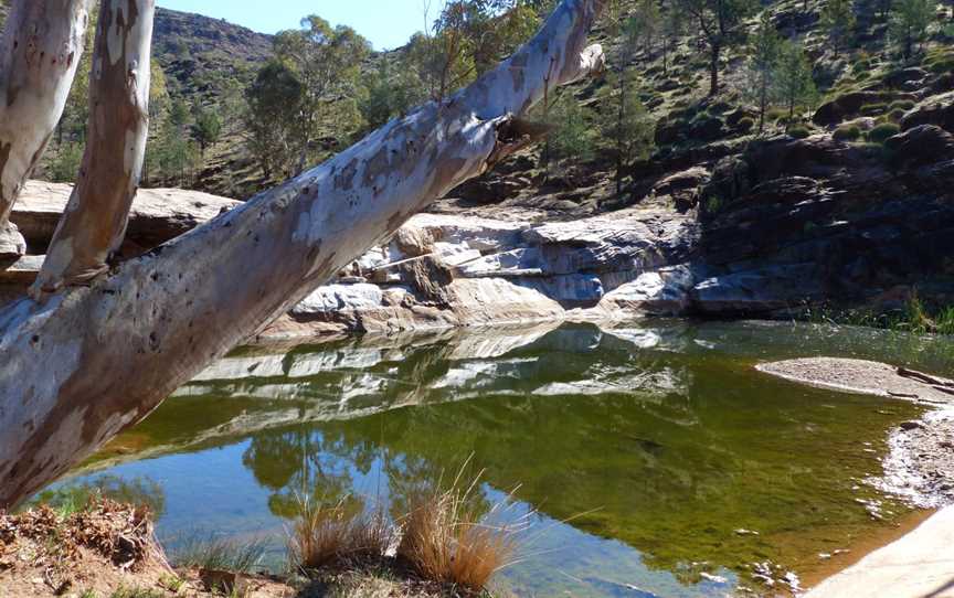 Alpana Station Blinman Pools Tour, Blinman, SA