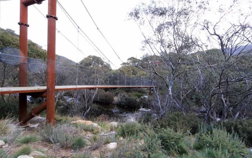 Guided Upper Thredbo Valley Track Tour, Crackenback, NSW