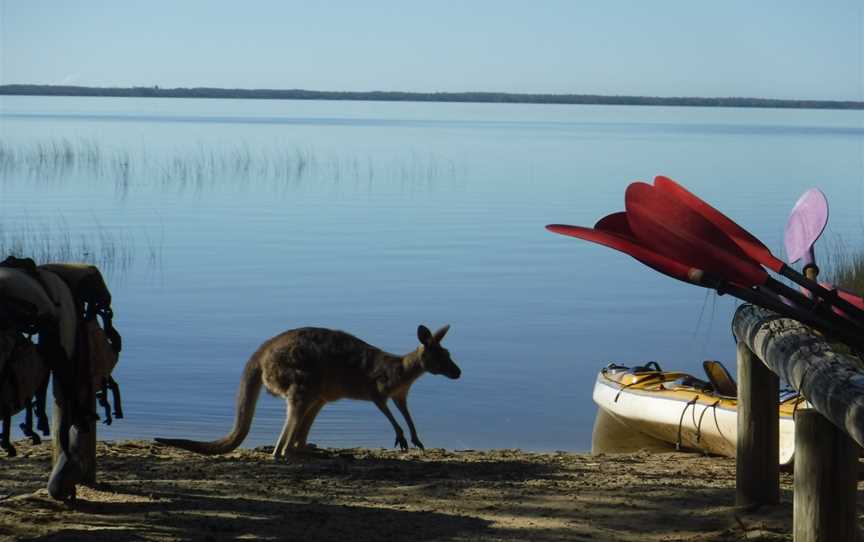 Kanu Kapers Sustainable Noosa Everglades, Boreen Point, QLD