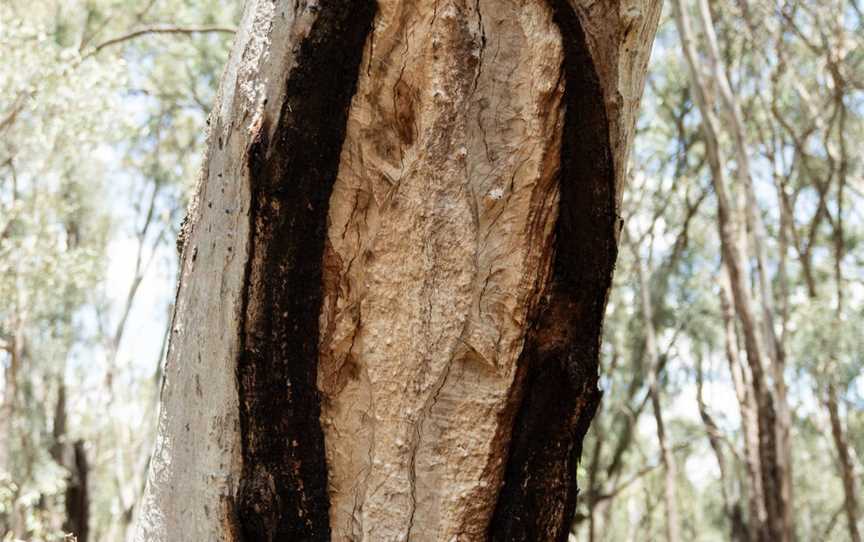 Sandhills Artefacts Cultural Tours, Narrandera, NSW