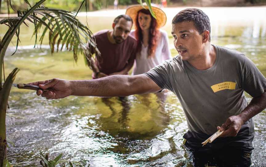 Ngana Julaymba Dungay: We All Going Daintree - Half Day - Walkabout Cultural Adventures, Port Douglas, QLD