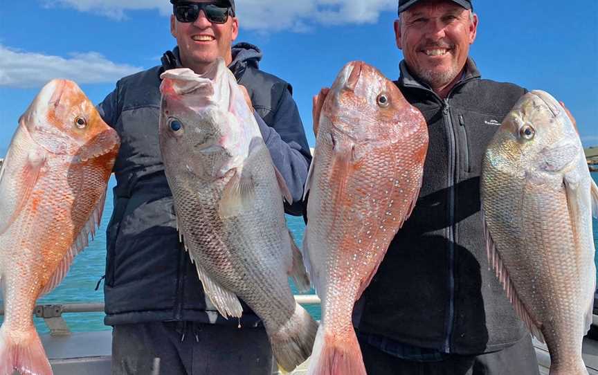 Batavia Sea Safaris, Geraldton, WA