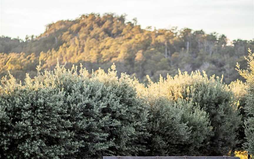 Tasmanian Truffles, Needles, TAS