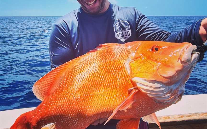 Coral Coast Charters Whitsundays, Cannonvale, QLD