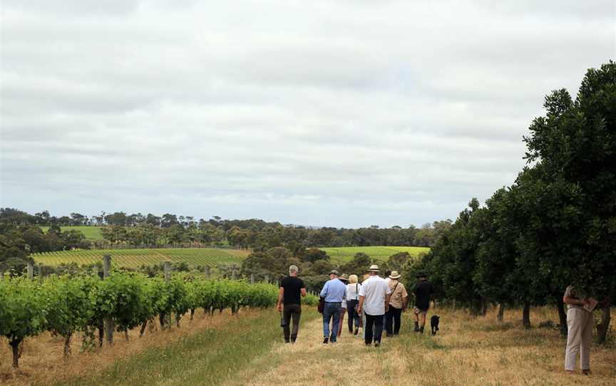 Hinterland Escapes Tours, Wellington Mill, WA