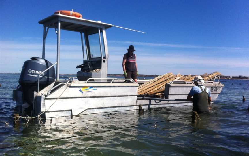 Pacific Estate Oysters, Stansbury, SA