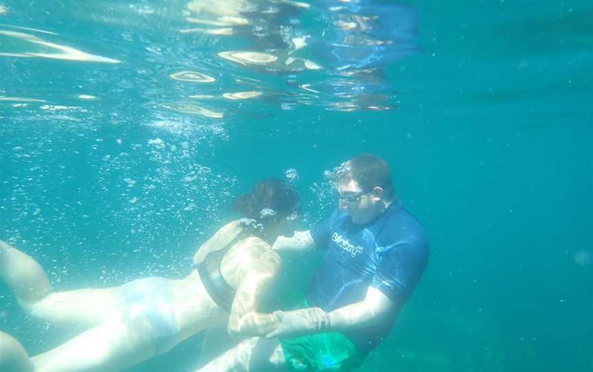 Snorkel from a Kayak with Region X, Batemans Bay, NSW