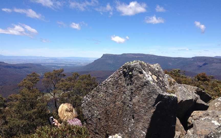 Great Western Tiers Forest Walks Tasmania, Jackeys Marsh, TAS