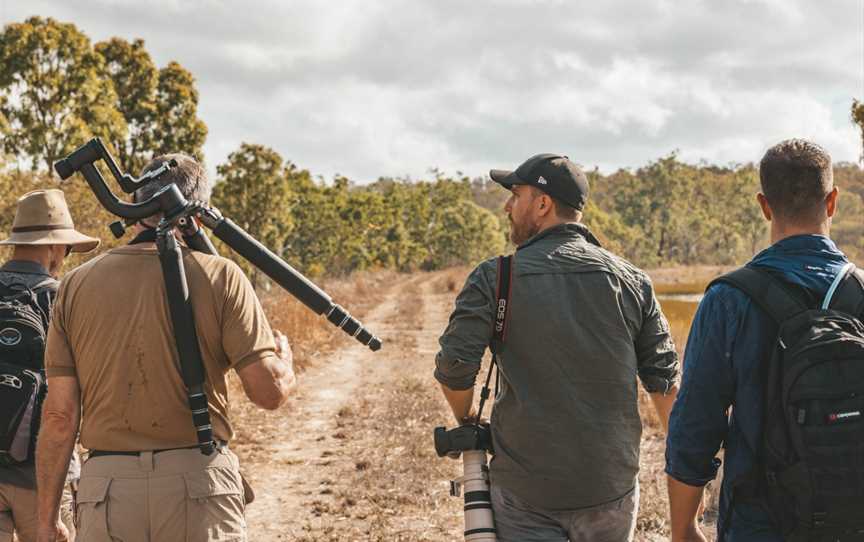 FNQ Nature Tours, Mount Sheridan, QLD