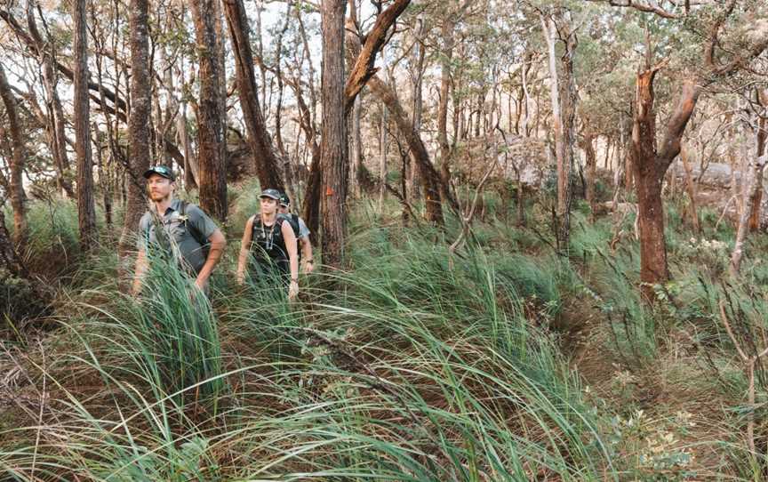 FNQ Nature Tours, Mount Sheridan, QLD