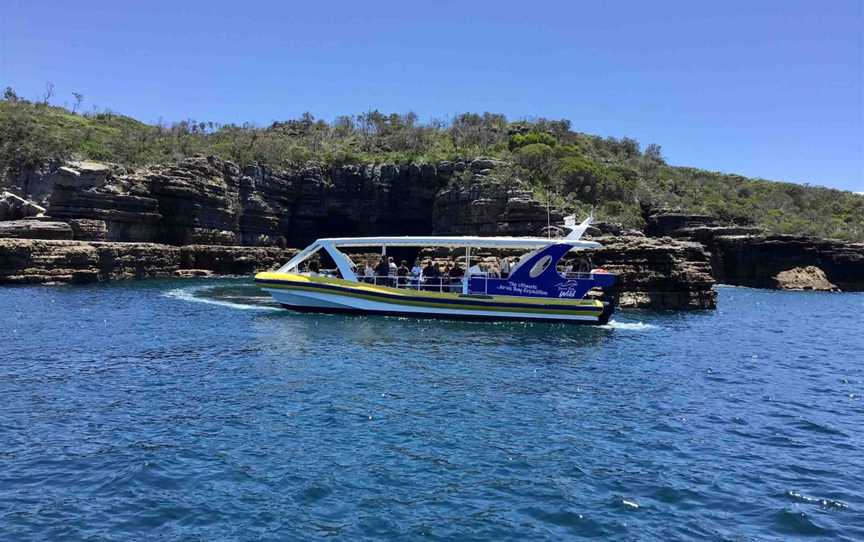 Shellharbour Wild, Shell Cove, NSW